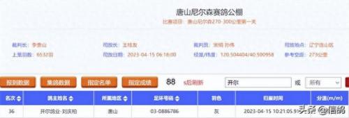 尼尔森赛鸽公棚春棚(尼尔森赛鸽公棚)插图