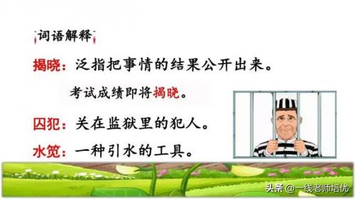 豌怎么组词-(豌可以怎么组词语)插图8