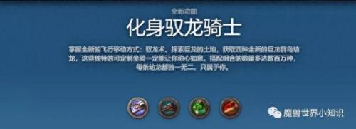 始祖龙骨(后室0到100层怪物解析)插图