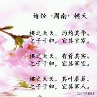 有情有趣全集(网剧有情有趣免费)插图6