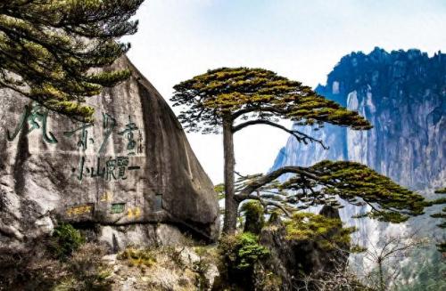 中国前四景区排名前十(中国十大樱花景区排名)插图5
