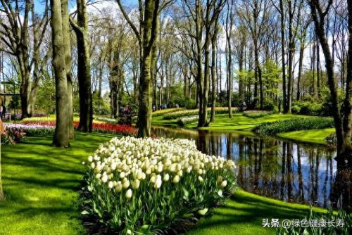 荷兰住宅公园排名前十(荷兰小镇空中别墅)插图61