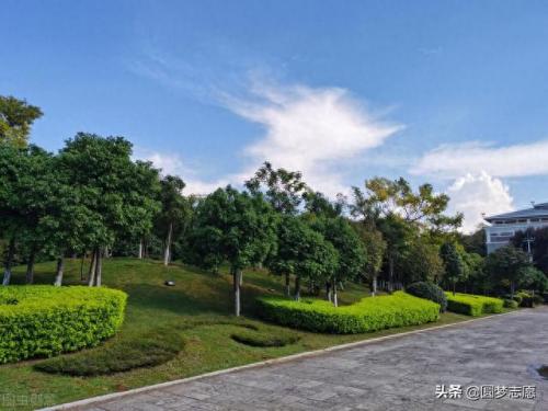 云南理科二本院校排名前十(云南一本二本院校排名)插图2