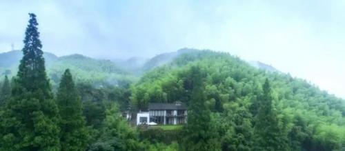 杭州泳池名宿排名前十(十大泳池民宿排行榜)插图3