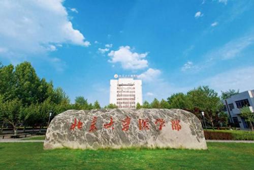 医院科技排名前十(十大私立口腔医院)插图1