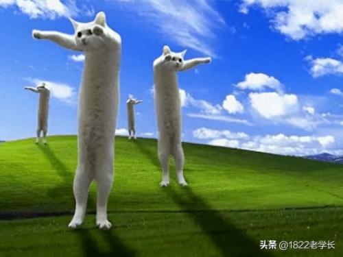 前50十专业排名(20个排名前的专业)插图10