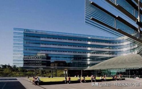 新西兰五星级大学排名前十(新西兰知名大学排行榜)插图