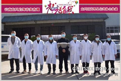 金亚赛鸽中心春棚(宣威金亚赛鸽中心春棚)插图9