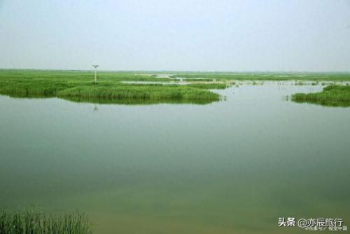 东营景点排名前十(东营著名景点)插图22
