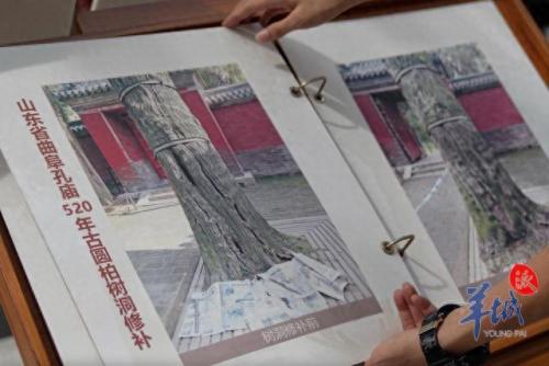 园林人物排名前十(园林大师排行榜前十)插图10