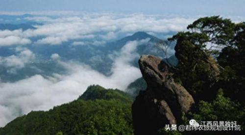 崇义特产排名前十(崇义旅游景点大全)插图2