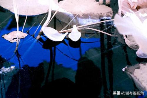 另类图库(49个图库app)插图6