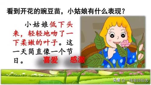 豌怎么组词-(豌可以怎么组词语)插图31