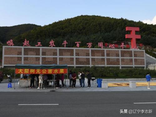 披星戴月是什么生肖-(披星戴月打一个数字)插图17