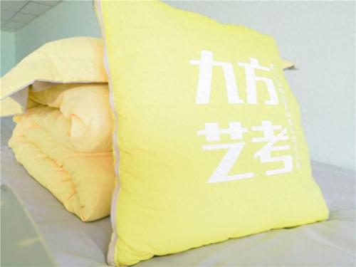 河北画室排名前十(河北画室排名一览表)插图2