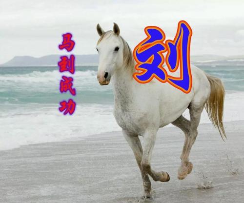 百家姓qq头像(百家姓头像大全真实图)插图25