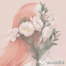 不完美女孩(致不完美女孩)插图