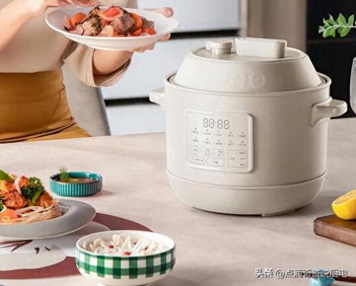 电饭煲销售排名前十(2022年电饭煲销量排行榜)插图16