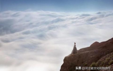 中华养生智慧(中华养生益生功)