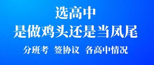 淮中市(淮中公审视频)插图