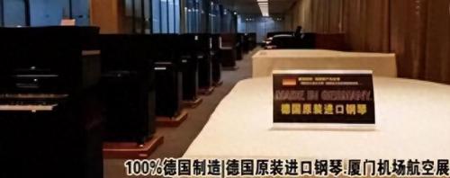 世界十大乐器排名前十(全球最火的十大乐器是)插图3