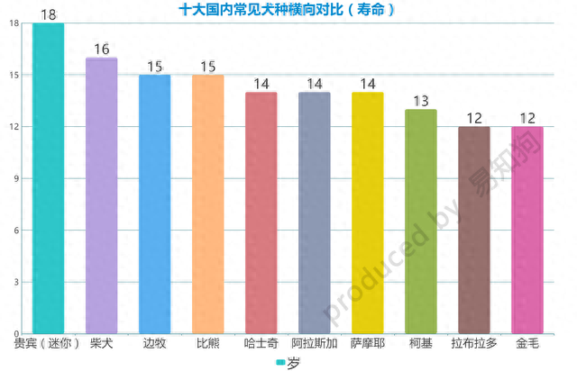 排名前十犬种(最好十种犬种)插图12
