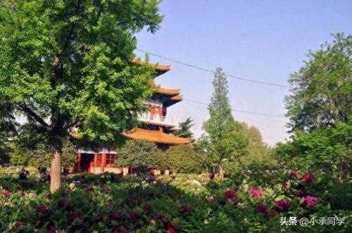 洛阳十大景区排名前十(洛阳景区排名一览表)插图2