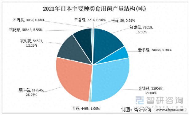 日本蘑菇排名前十(日本蘑菇多少钱一个)插图4