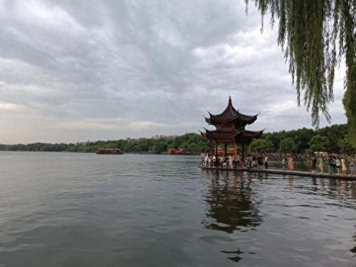 李代沫 郑虹(郑虹和李代沫谁赢了)插图
