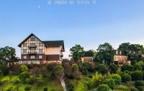 石岩之心在哪(石岩新闻最新消息今天)插图19