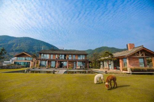金华高端名宿排名前十(金华旅游)插图1