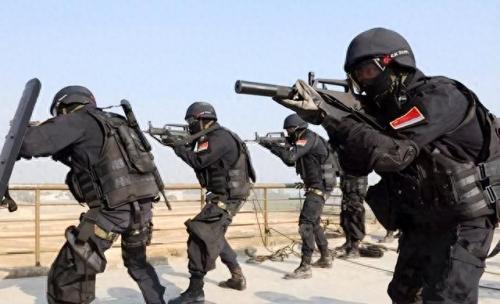 中国特种兵狙击排名前十(特种兵荒岛狙击)插图17