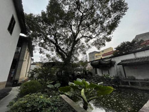 吴涛鸿儒什么意思(吴涛洪儒啥意思)插图8