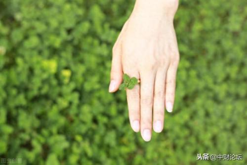 怎么用草编戒指(用普通草编戒指教程)插图