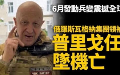 神勇雇佣兵(最强雇佣兵柳义珍)