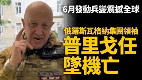 神勇雇佣兵(最强雇佣兵柳义珍)插图