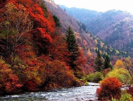 红原景区排名前十(红原县旅游景点分布图)插图15