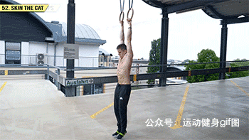 健身大神排名前十(健身大神谁厉害)插图51