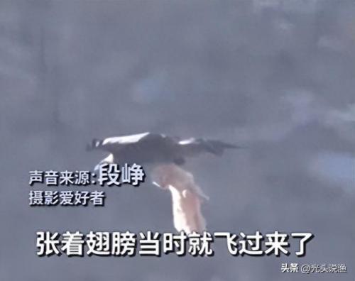 金雕有多大(世界上最大的雕)插图