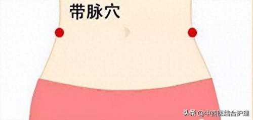 经络养生排名前十(经络养生操30分钟免费看)插图1