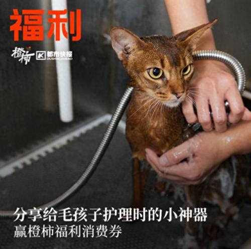 临安漂流排名前十(临安现在有几处漂流)插图13