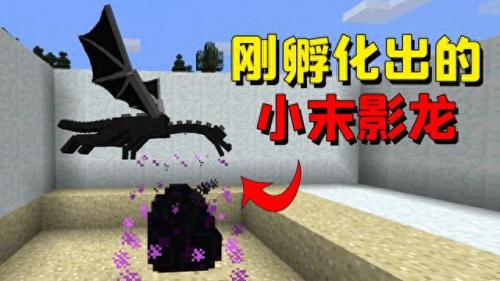 末影龙蛋怎么孵化(我的世界龙蛋怎么孵化)插图5
