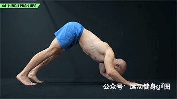 健身大神排名前十(健身大神谁厉害)插图43