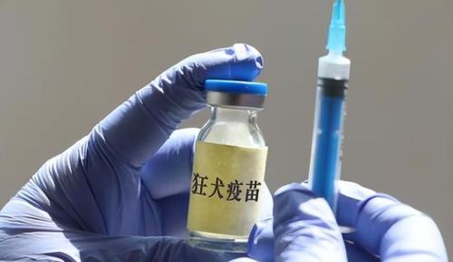 当前病毒毒性排名前十(全球病毒10大排行榜)插图22