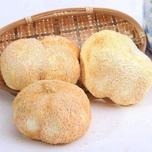 秸秆菌棒厂家排名前十(废菌棒多少钱一吨)插图1