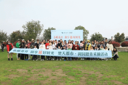 荆州楼价排名前十(荆州最新房价表)插图9