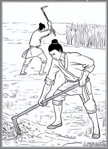 包含物候知识的农谚(与物候有关的农谚三条)插图2