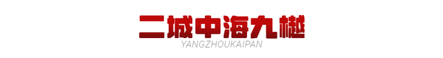 扬州乡村豪宅排名前十(亚洲十大豪宅扬州)插图29