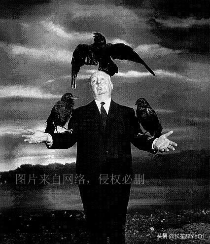 全球前十家电影公司排名(全球电影排名100名)插图4
