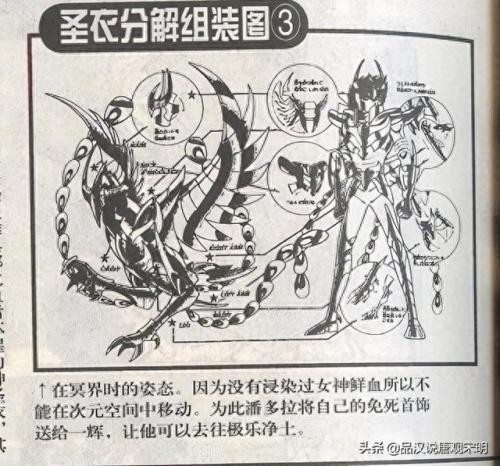 天龙座神圣衣(天龙座)插图15
